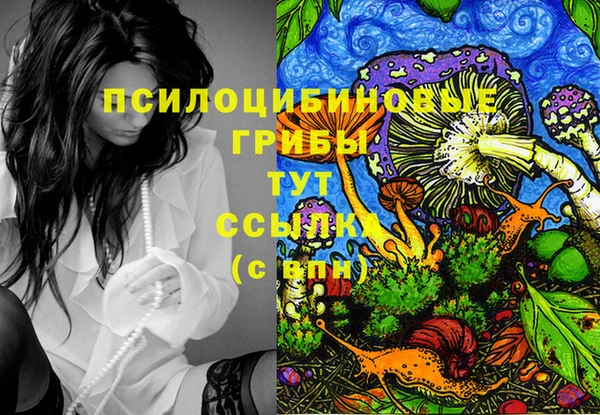 спиды Абинск