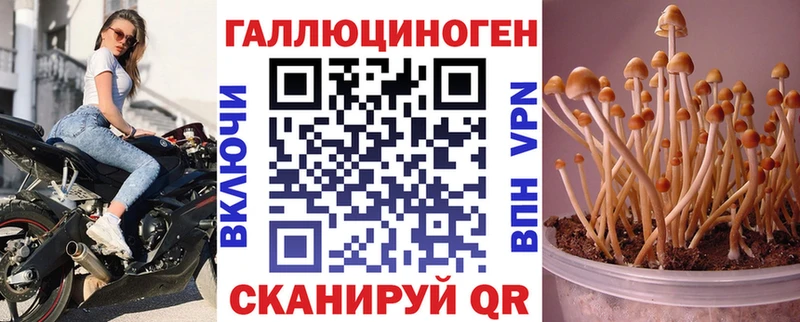 Псилоцибиновые грибы ЛСД Правдинск