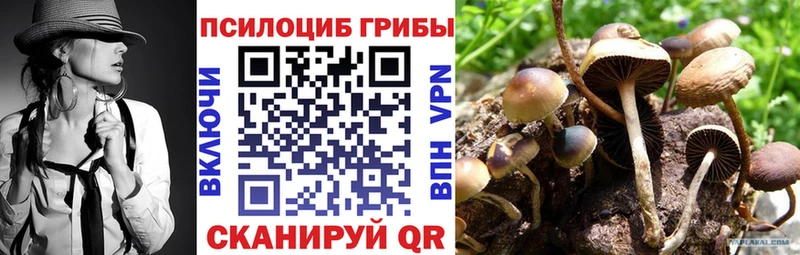 Галлюциногенные грибы Cubensis  что такое наркотик  Правдинск 